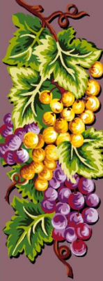 canevas 30x65 le raisin