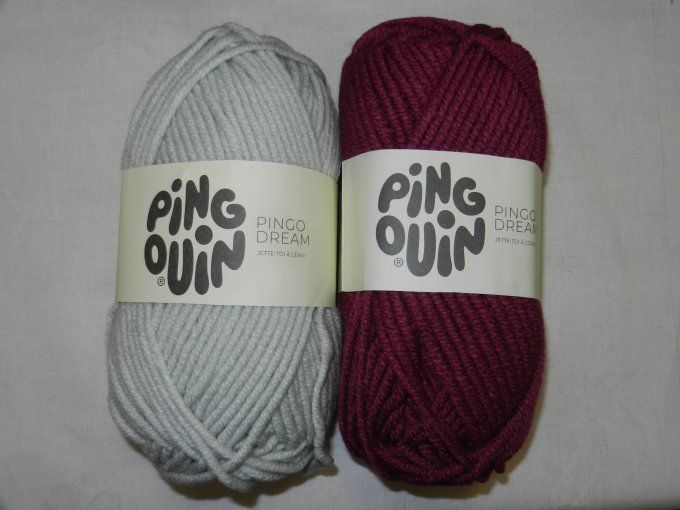 lot 17 : 2 pingo dream