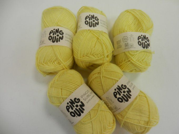 n°74 lot 5 pingo sublime jaune 